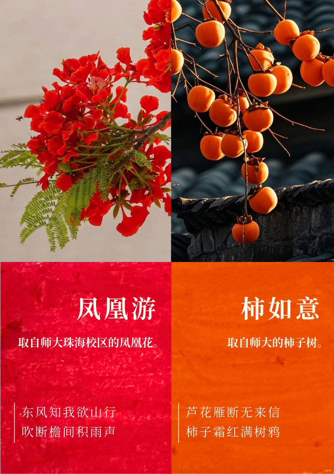 微信图片_2026-01-01_231259_729.png